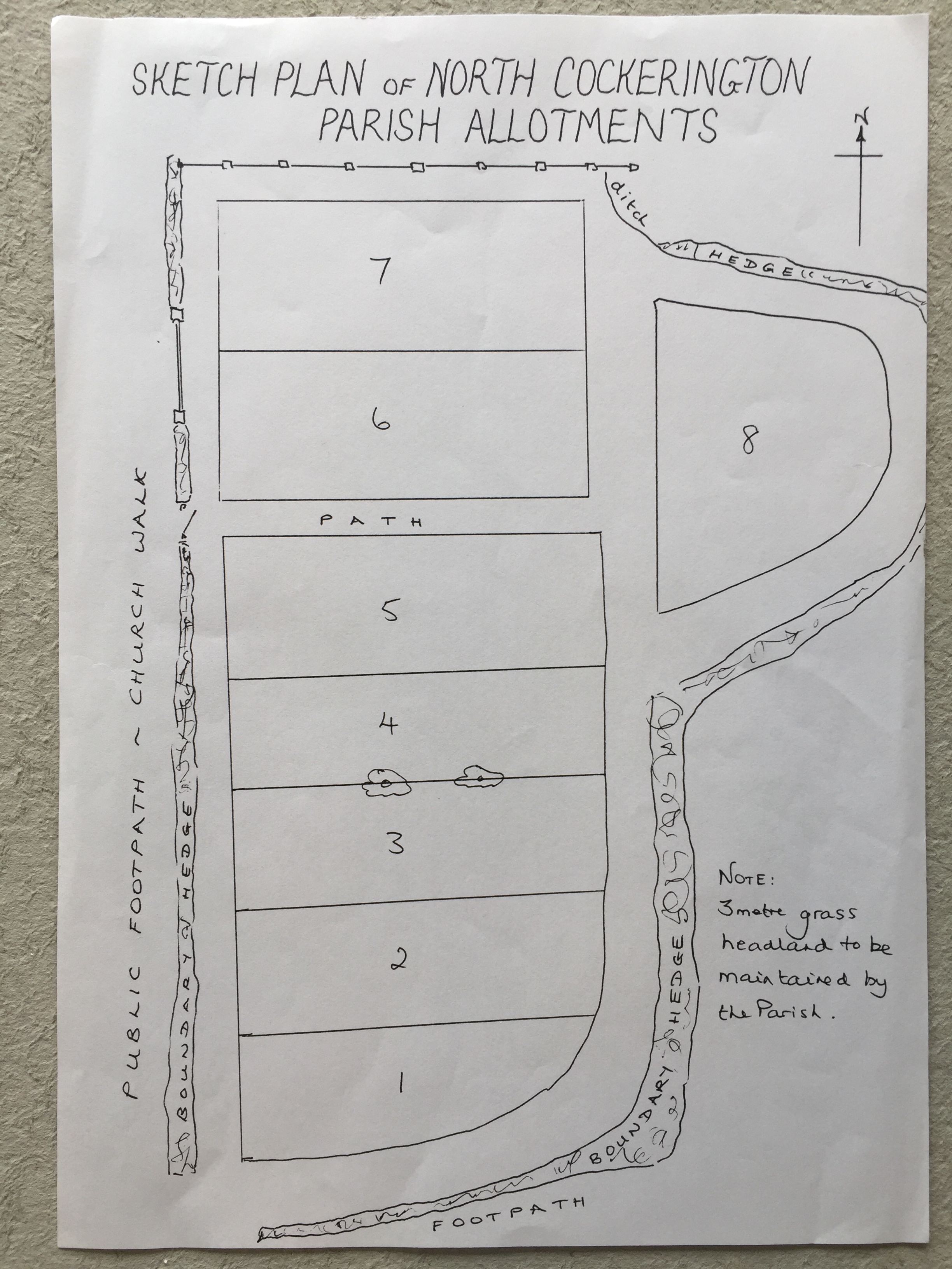 Hand drawn plan of allotments showing positions of eight plots